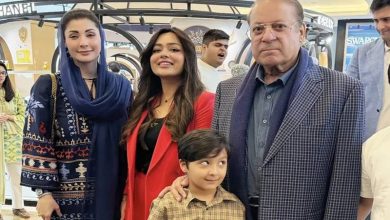 جنید صفدر کی شادی کی تیاریاں عروج پر