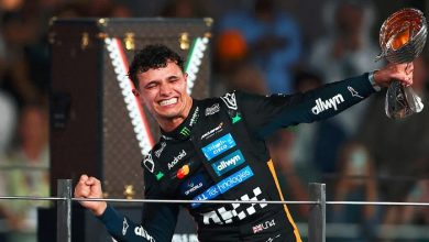 لینڈو نورس نے فارمولا ون 2025 کا ٹائٹل اپنے نام کرلیا، میکس ورسٹاپن کی چار سالہ بالادستی ختم