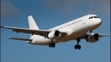 پاکستان نے بھارت کیلئے فضائی حدود کی بندش میں مزید ایک ماہ کی توسیع کردی