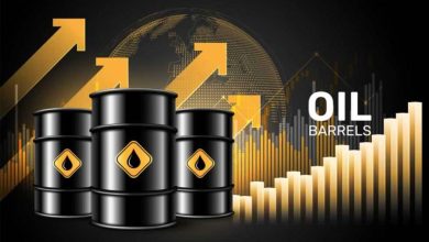 پاکستانیوں کو کتنا دھچکا لگ سکتا ہے؟