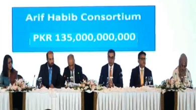 قومی ایئر لائنز کی نجکاری: تیسرے اور حتمی مرحلے میں 135 ارب روپے کی بولی