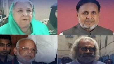 محمود الرشید کو 33 سال، یاسمین راشد اور اعجاز چوہدری کو 10، 10 سال قید، تحریری فیصلہ جاری