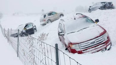 امریکا اور یورپ میں شدید برفباری، میدان اور پہاڑ سفید چادر میں ڈھک گئے