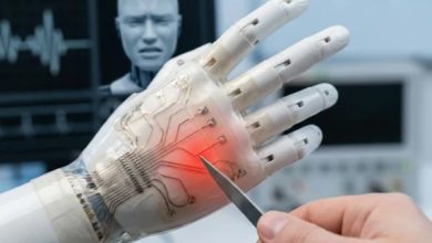 چین میں روبوٹس کے لیے مصنوعی جلد تیار، روبوٹ درد اور لمس محسوس کر سکیں گے