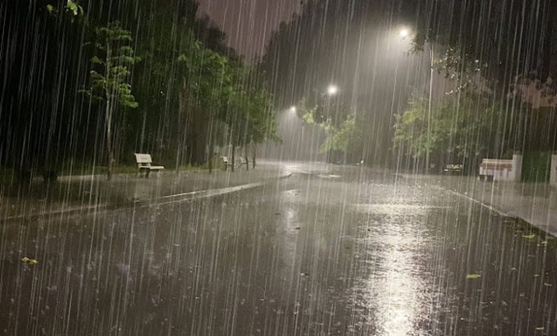 بارش اور برفباری? این ڈی ایم اے نے الرٹ جاری کر دیا