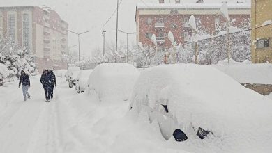 (ویب ڈیسک) یورپ میں شدید برفباری، نظامِ زندگی مفلوج، 6 افراد ہلاک